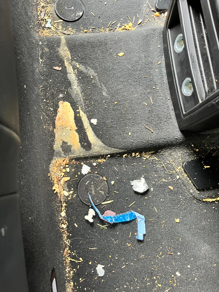 BMW X5 detailed by Tonka Shine Minnetonka SUV